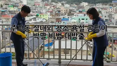 주교동 실내외 청소✨ 욕실 곰팡이 박멸 비법 대방출! 🛁